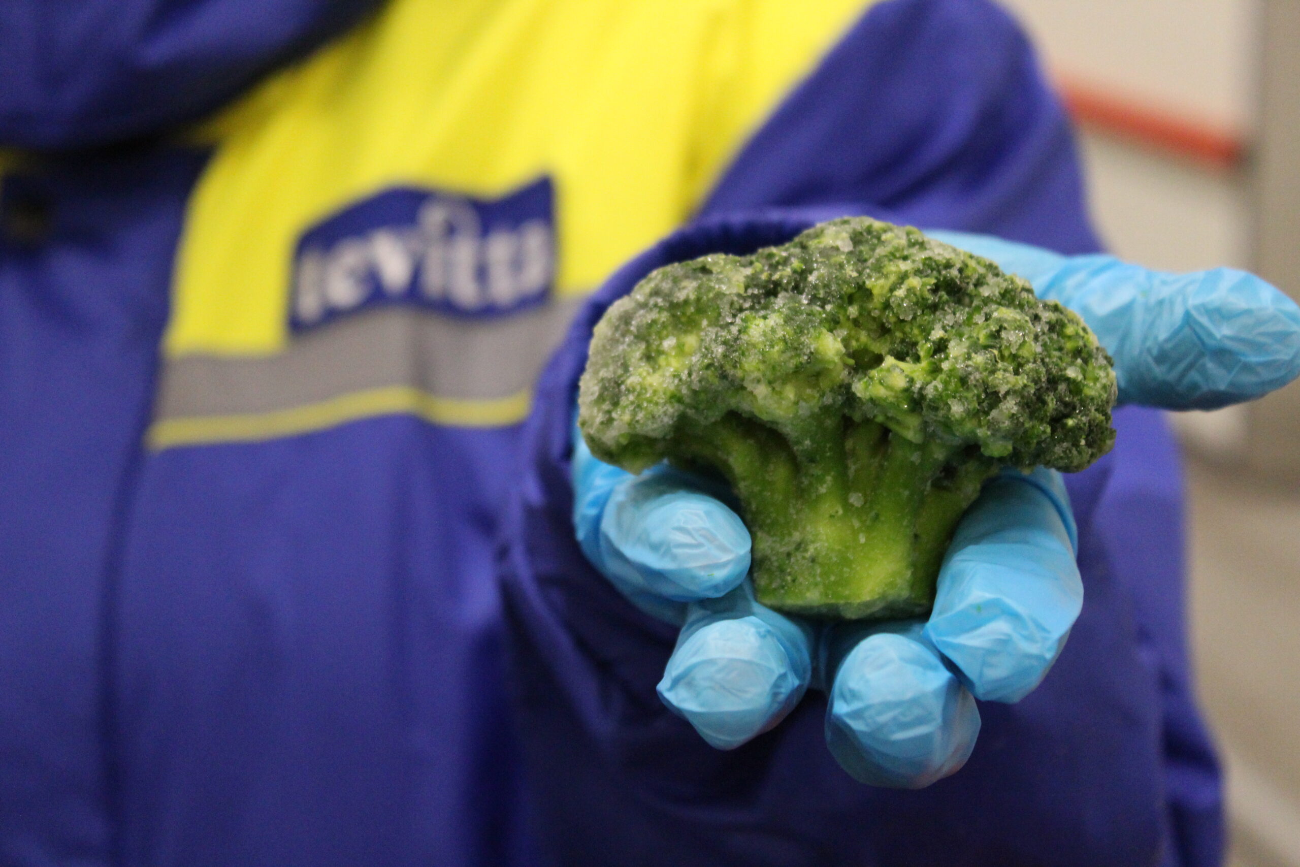 заморожене броколі