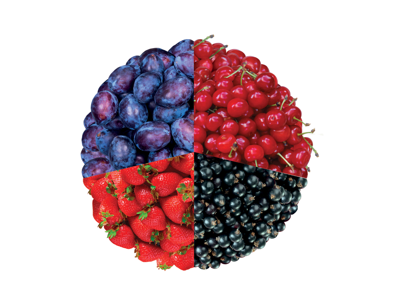 Суміш компотна Tevitta