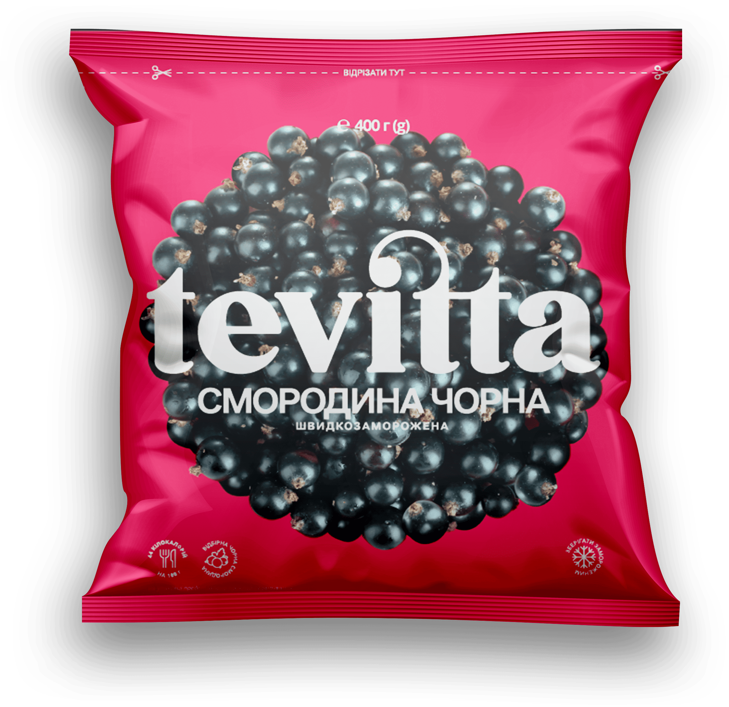 Чорна смородина Tevitta