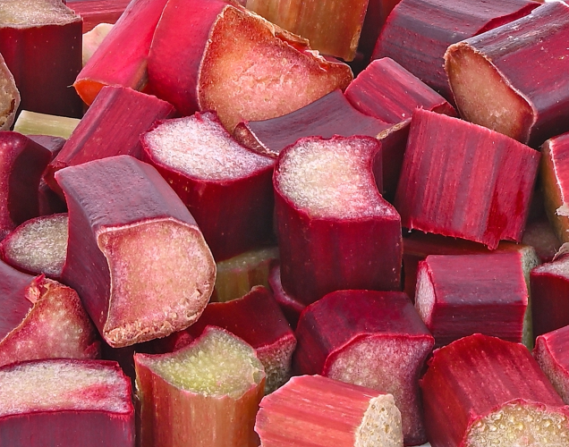 Ревінь Tevitta