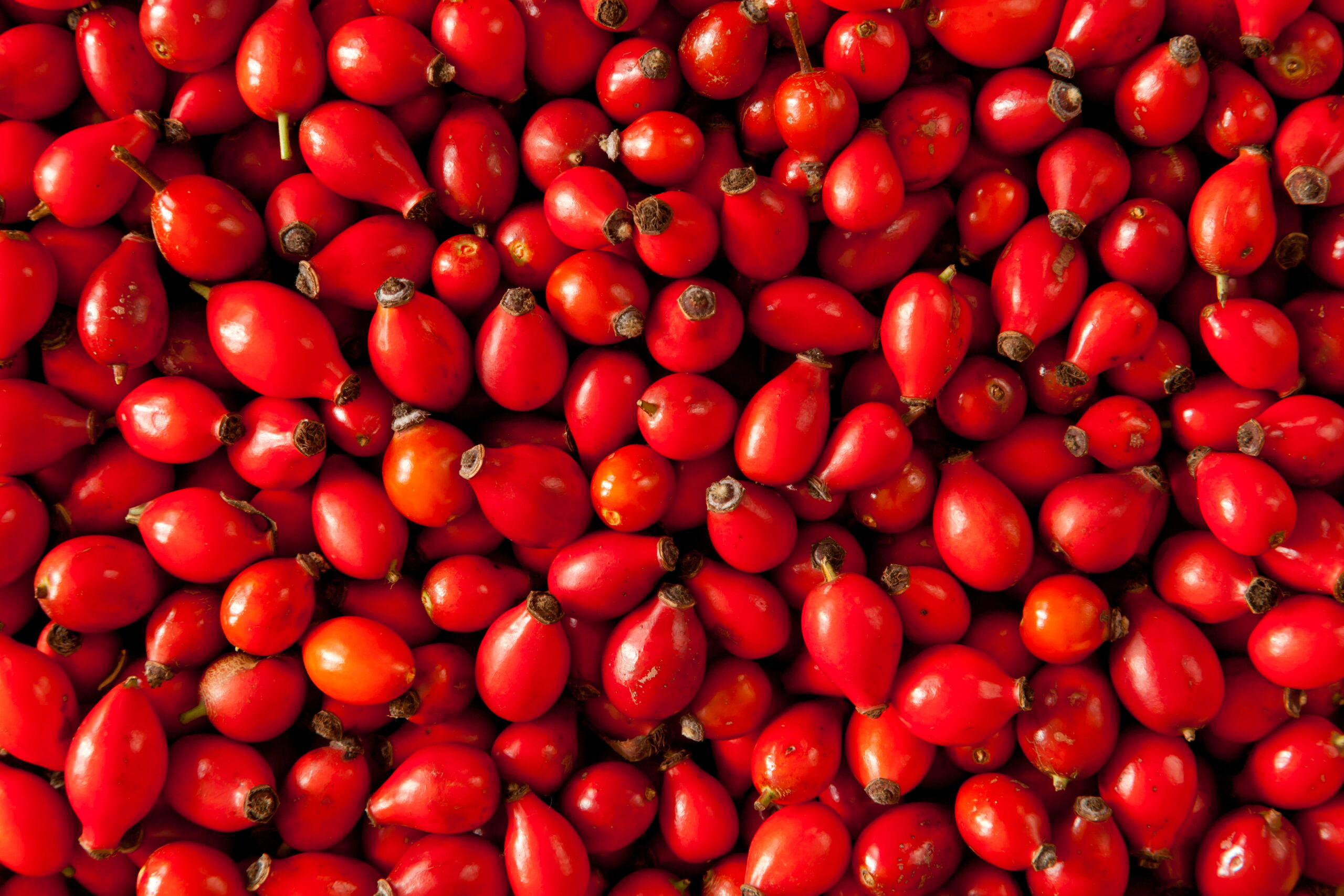 Шипшина Tevitta