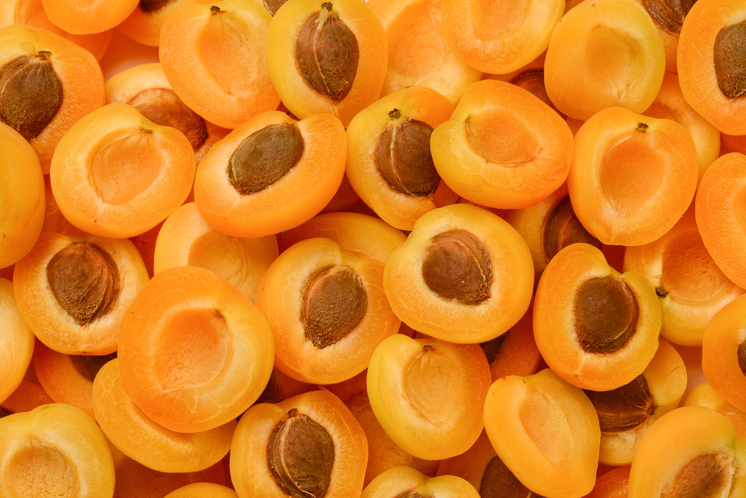 Абрикос Tevitta