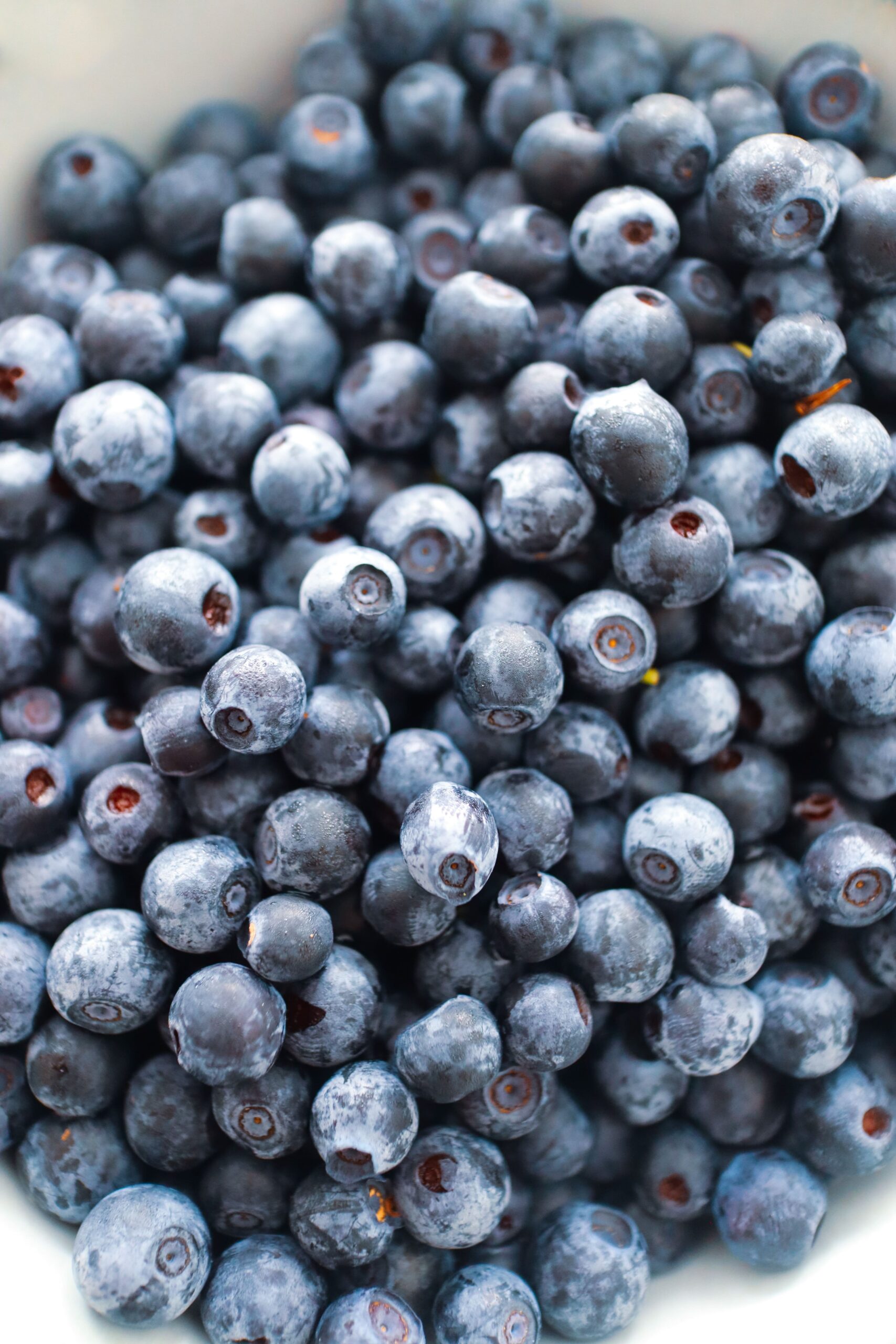 Чорниця Tevitta