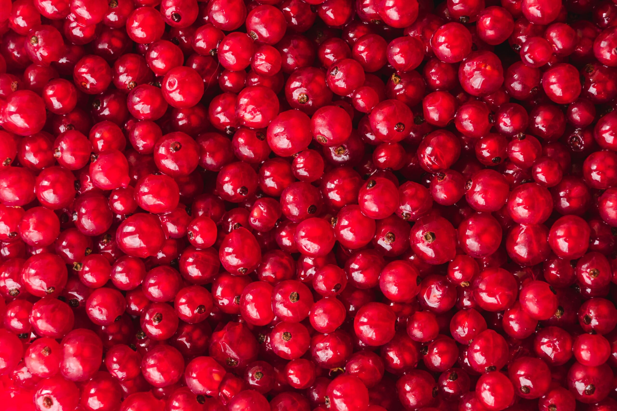 Порічка Tevitta