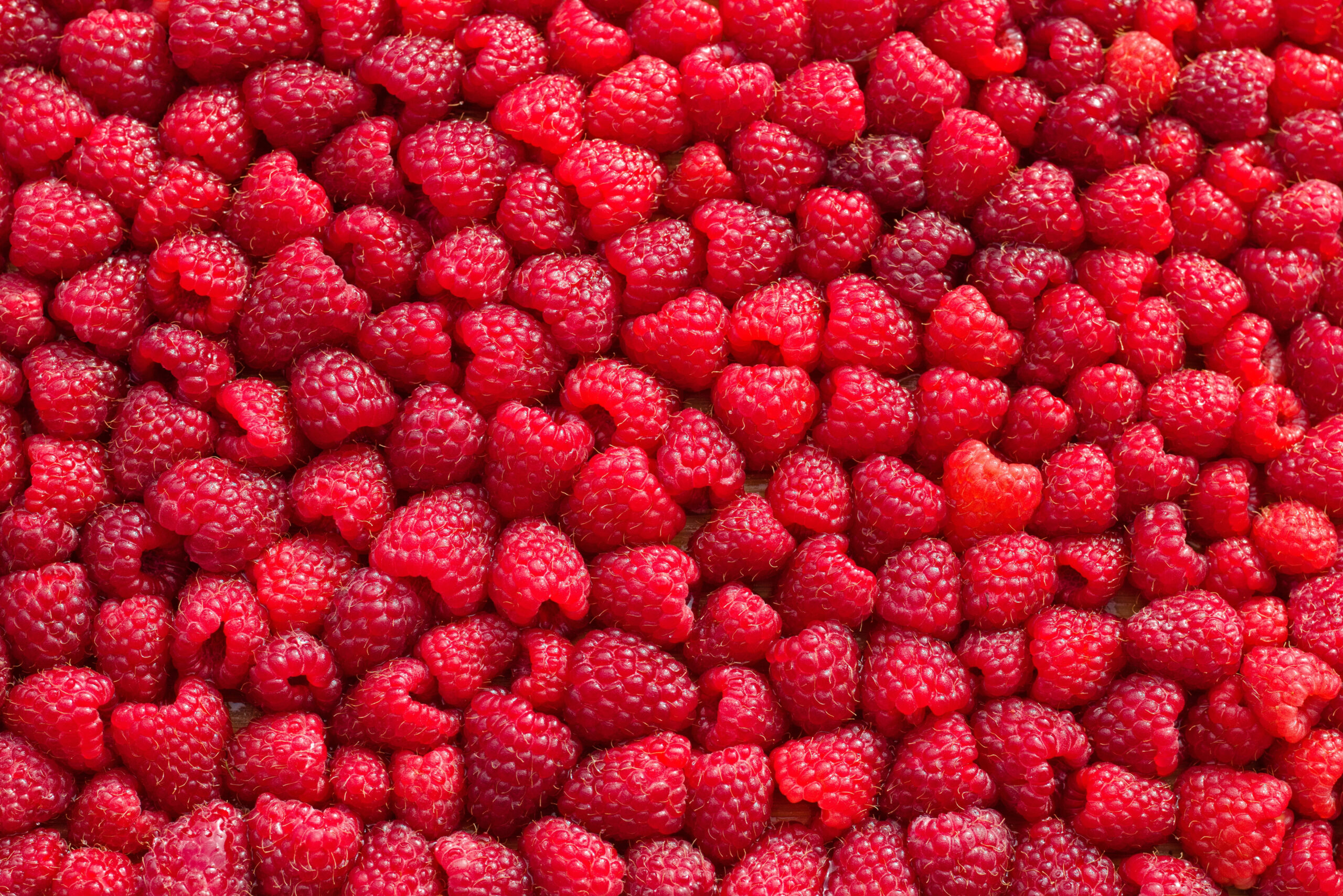 Малина ціла Tevitta