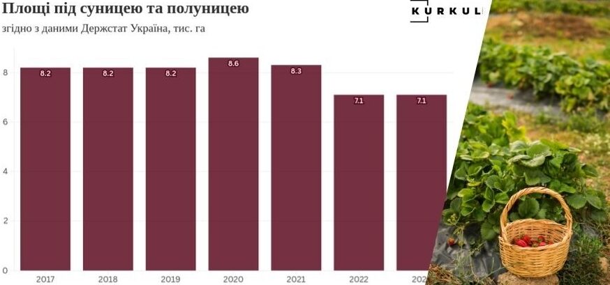 Графік виробництва суниці садової в Україні
