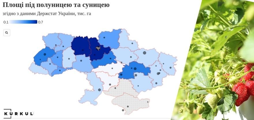 Карта України — статистика вирощування ягід