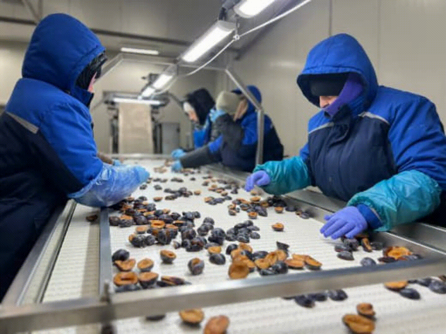 Персонал Tevitta під час заморожування продуктів